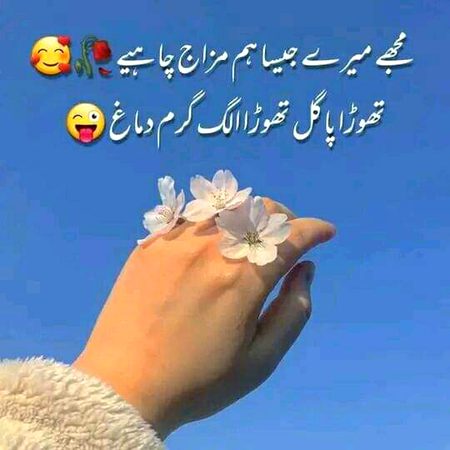 Attitude Poetry image