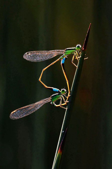 Beautiful Nature image