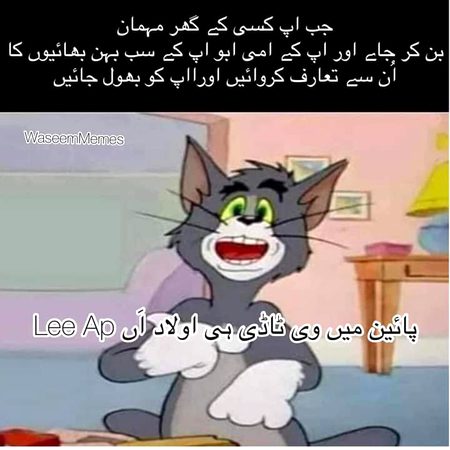 Memes & Satire image