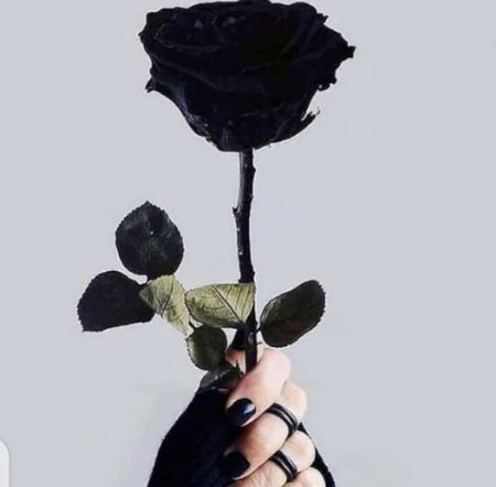 Beautiful Nature image