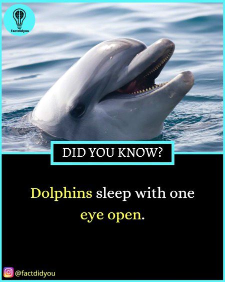 Interesting Posts image