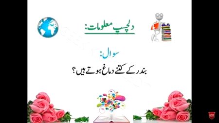 Knowledge Test image