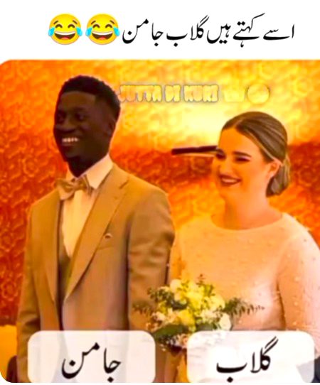 Memes & Satire image