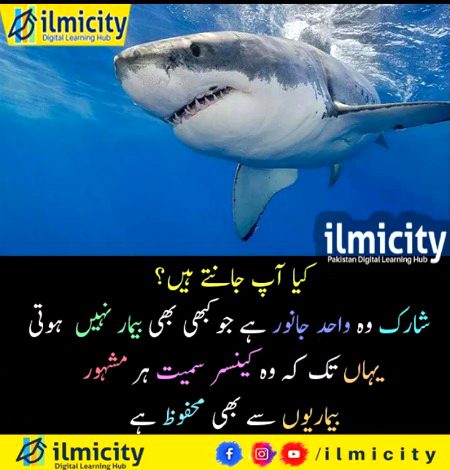 Interesting Posts image