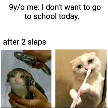 Memes & Satire image