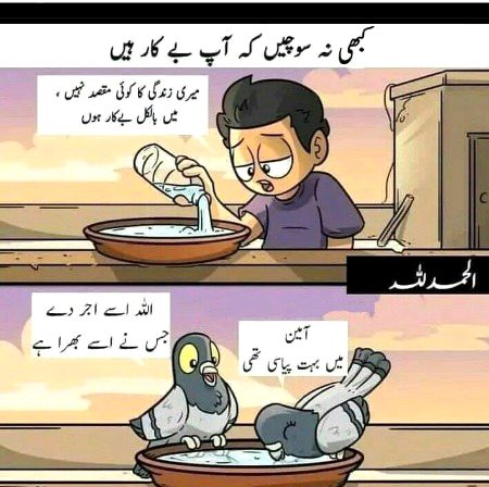 Memes & Satire image