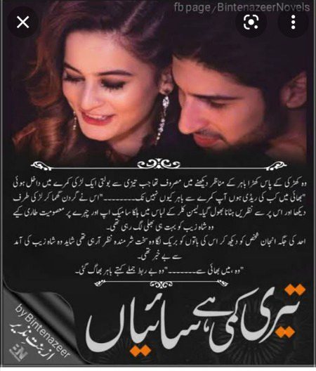 Romantic Novels image