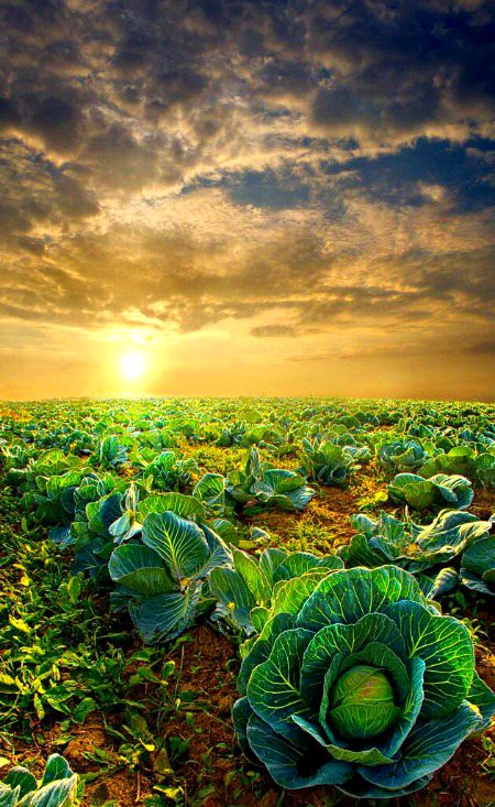 Beautiful Nature image