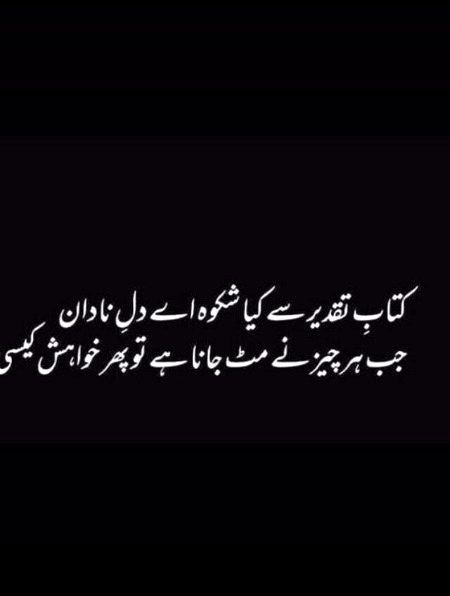 💞💖💕💞💖💕💓