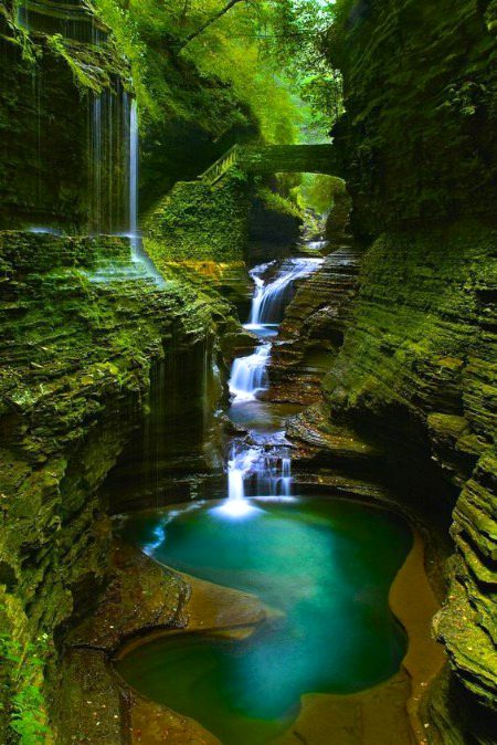 Beautiful Nature image