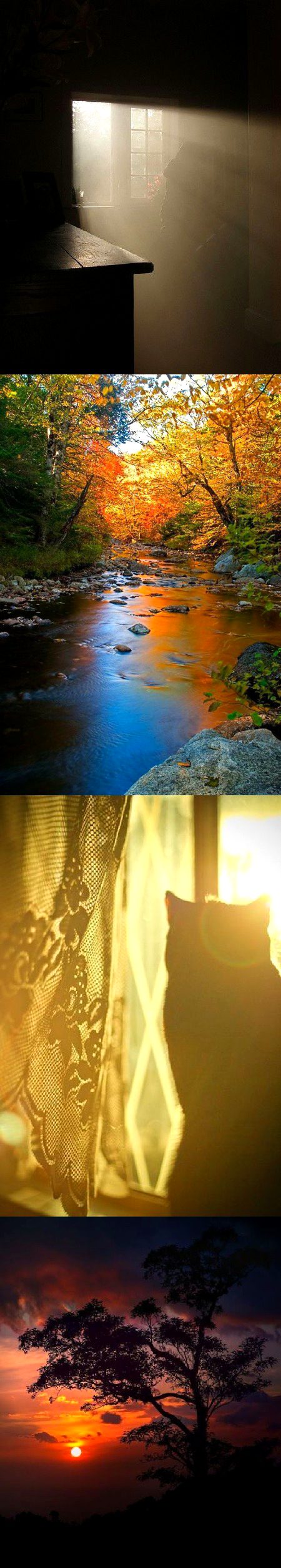 Beautiful Nature image