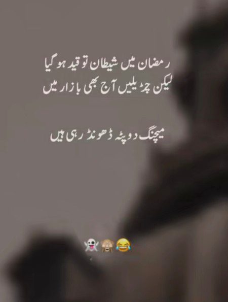 Memes & Satire image