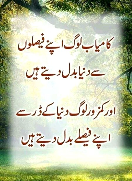 Hm wo kamyab log hn Saanaam❣️❣️