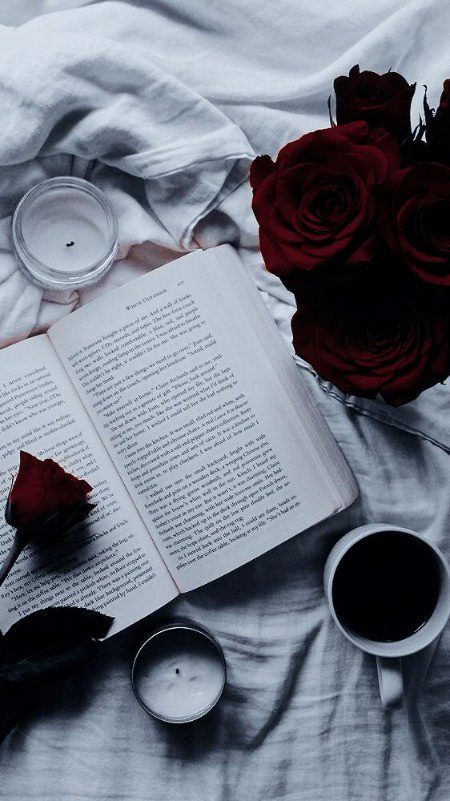 🥀❤️🥀❤️🥀❤️🥀