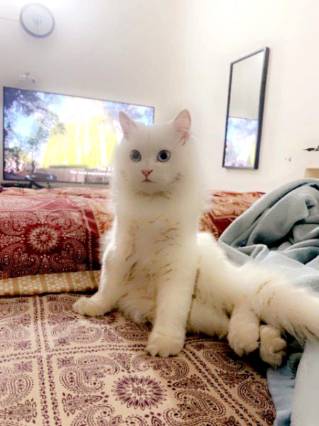 Beautiful Nature image