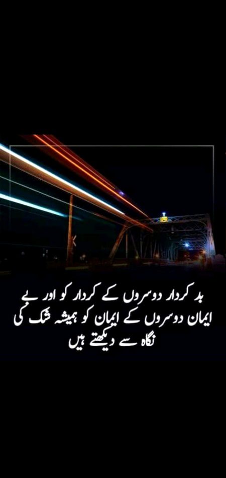 Shahnoor Abbasi✨