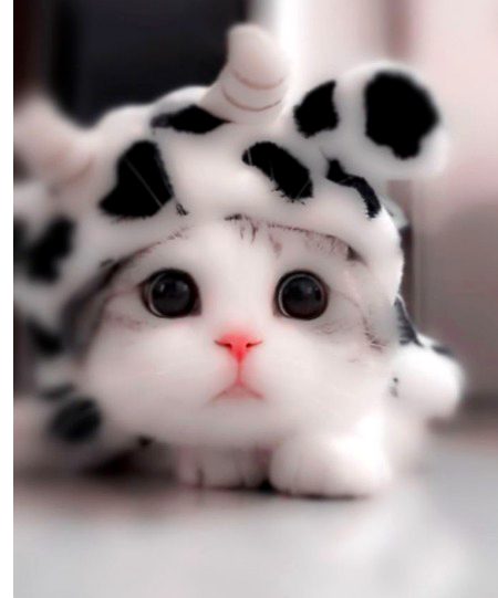 Beautiful Nature image