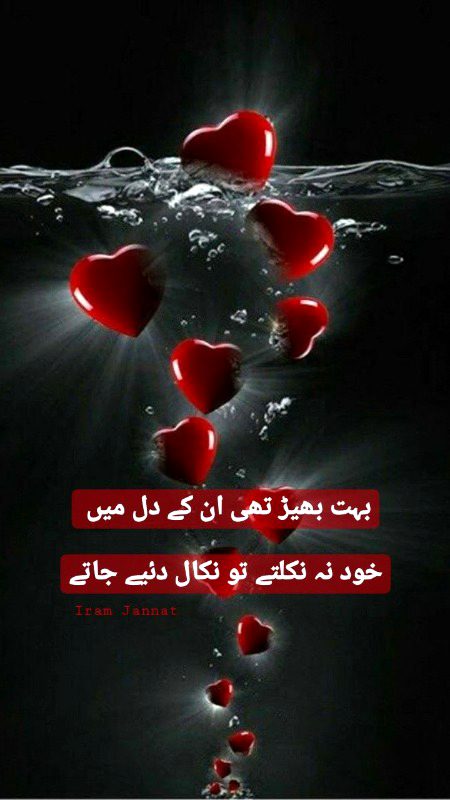 اسی لیئے میں خود نکل گیا