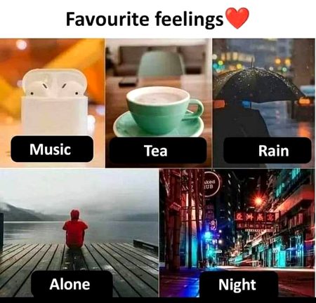 Your Favorite