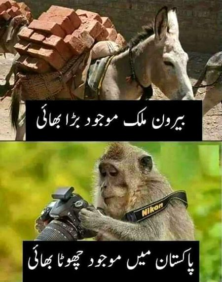 Memes & Satire image