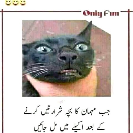 Jokes image