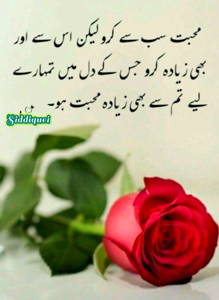 .r1 all gdnyt tc all