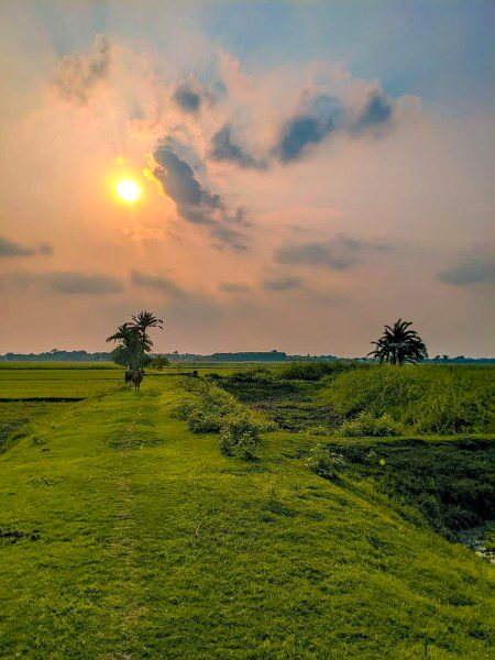 Beautiful Nature image