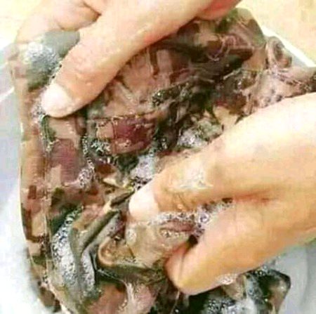 Kuhy duki degha 🙈