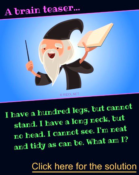 Riddles & Puzzles image