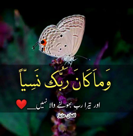 Islamic Quotes image