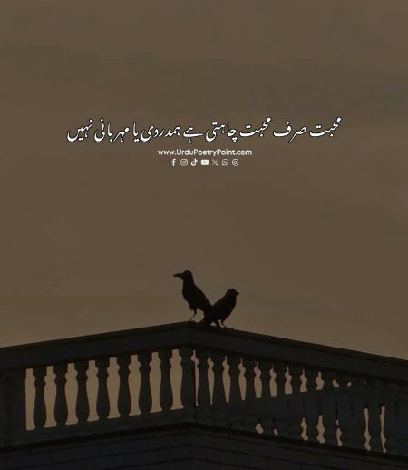 Muhabbat