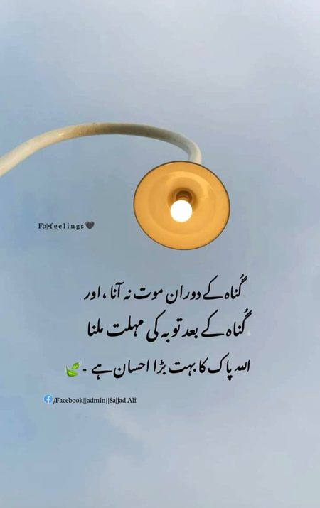 Islamic Quotes image
