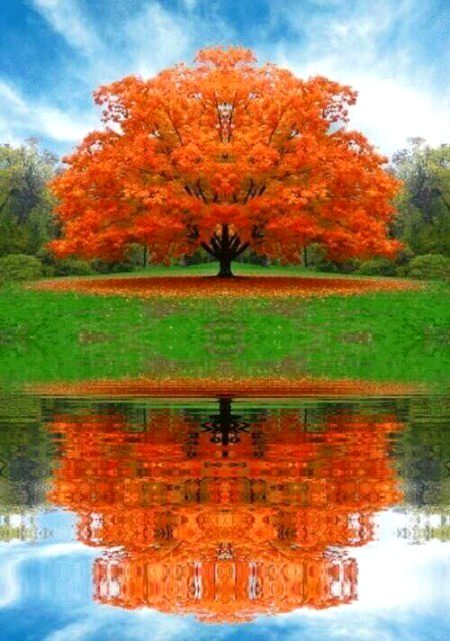 Beautiful Nature image