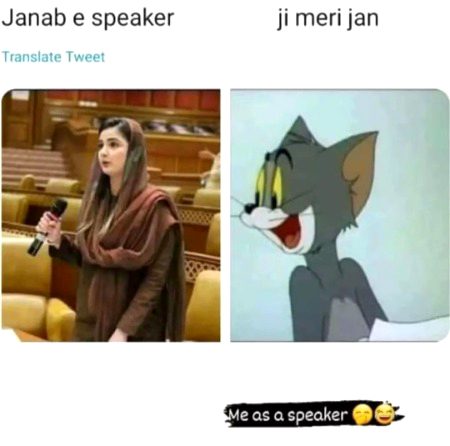 Memes & Satire image