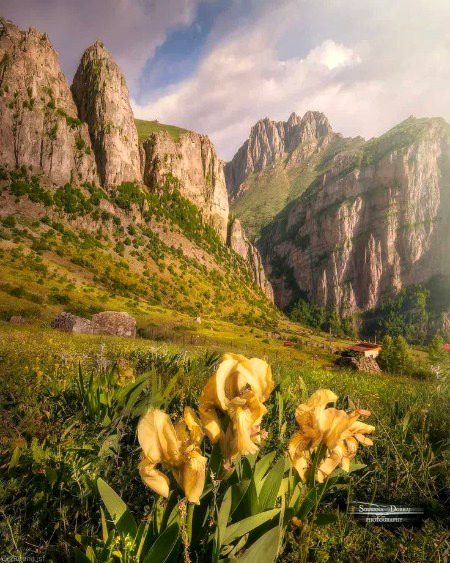 Beautiful Nature image