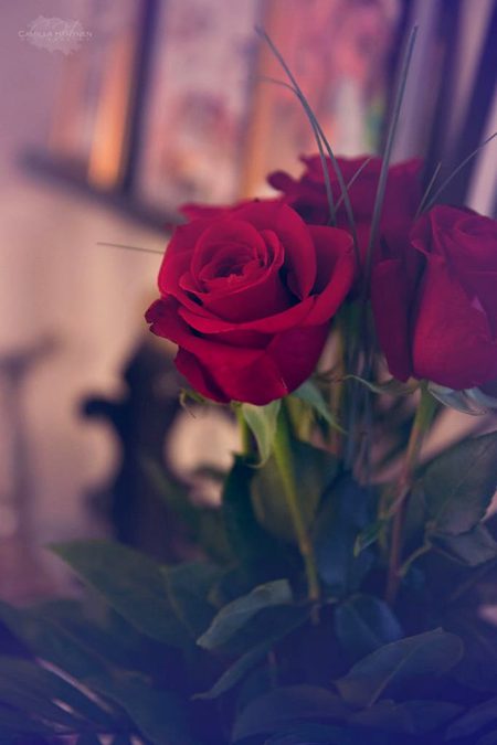 Beautiful Nature image