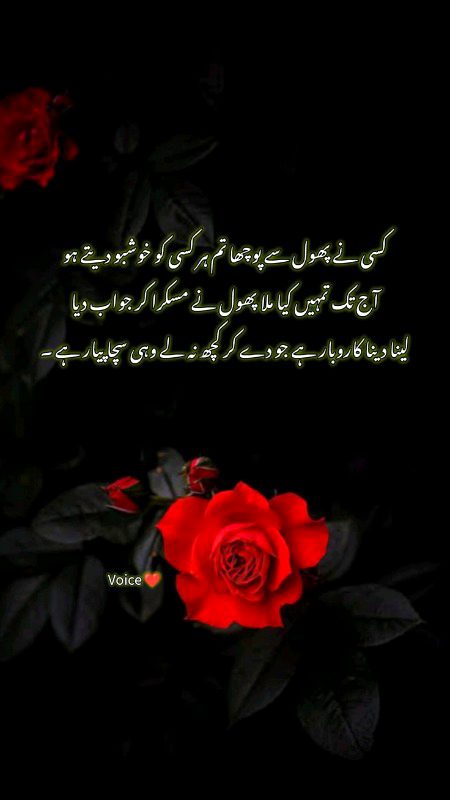 Motivational Quotes image