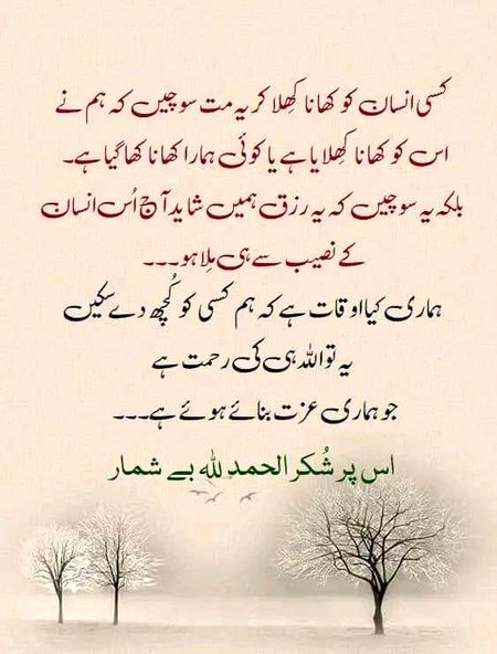 Beshak Allhamdulillah 🥀⭐