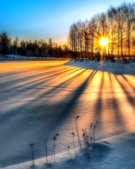 Beautiful Nature image