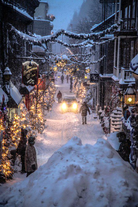 Beautiful Nature image