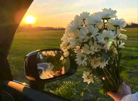 Beautiful Nature image