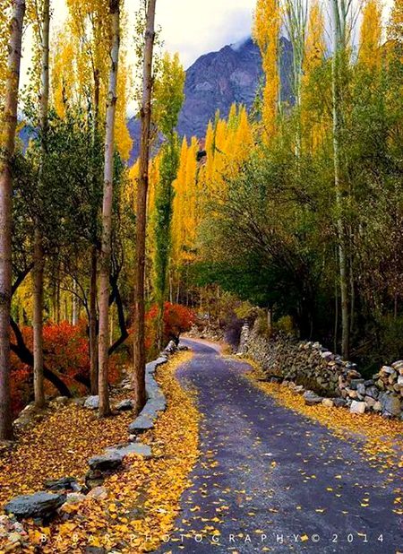 Beautiful Nature image