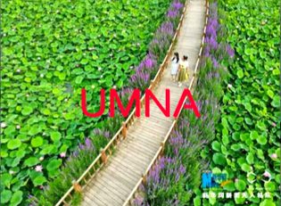 Beautiful chaina place and Garden