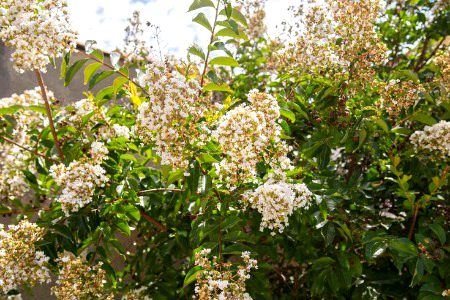 Beautiful Nature image