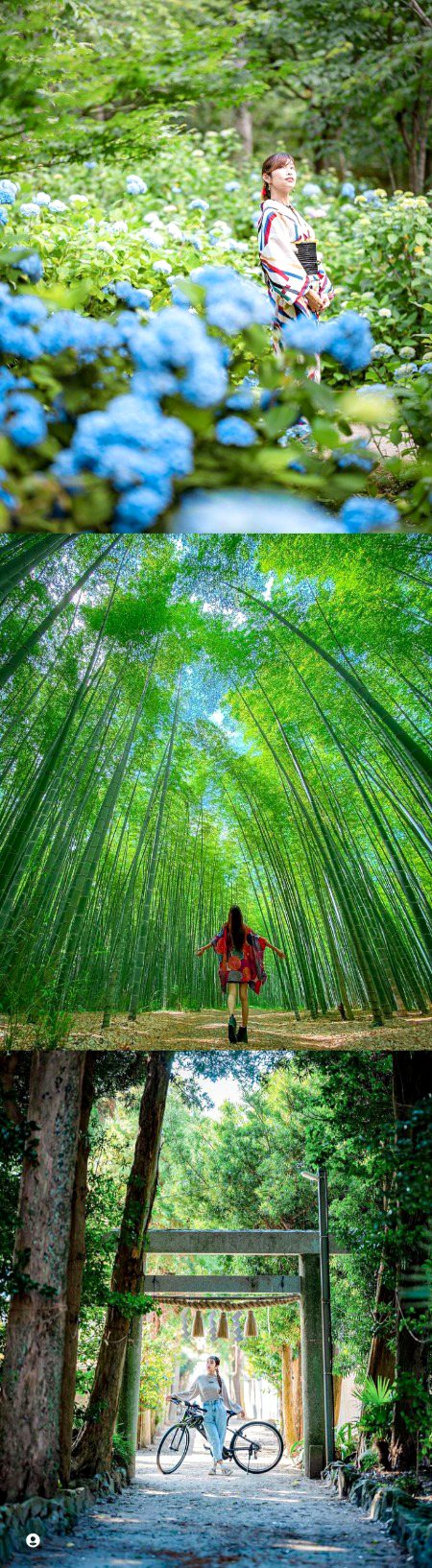 Beautiful Nature image