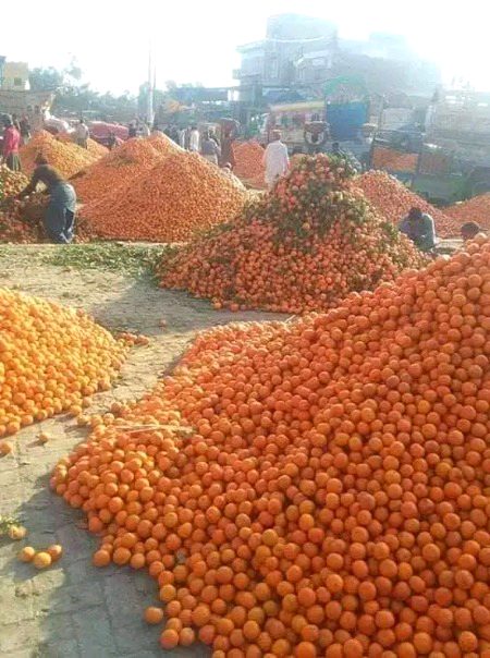 Beautiful Nature image