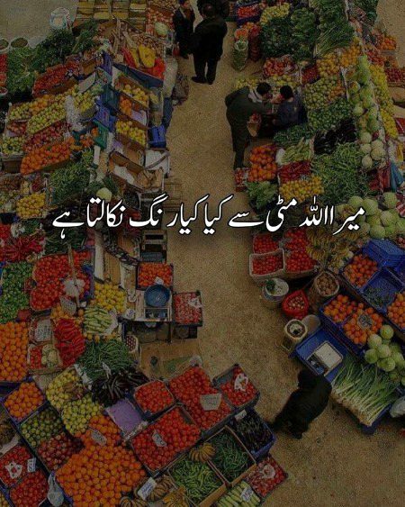 Beautiful Nature image