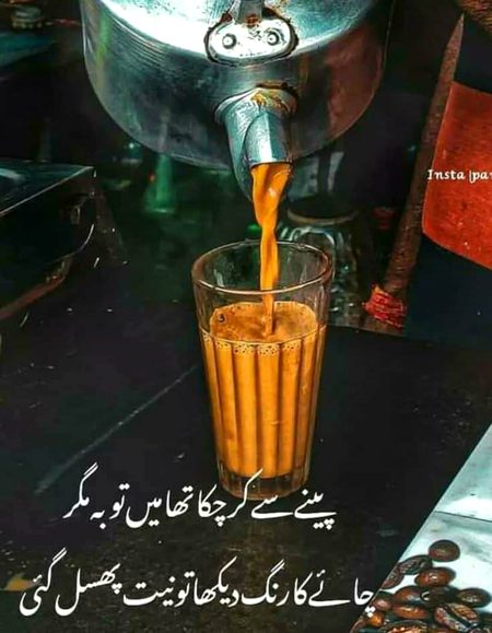 اگنور کر کے سارے گورے چہروں کو
میں نے اپنی سانولی چائے سے محبت کی