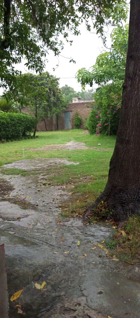 Rain In Peshawar