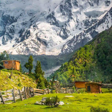 Beautiful Nature image